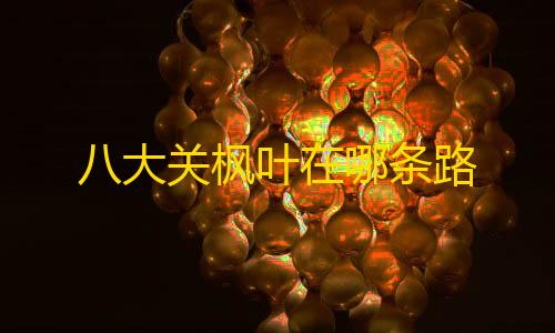 无畏契约透视免费八大关枫叶在哪条路